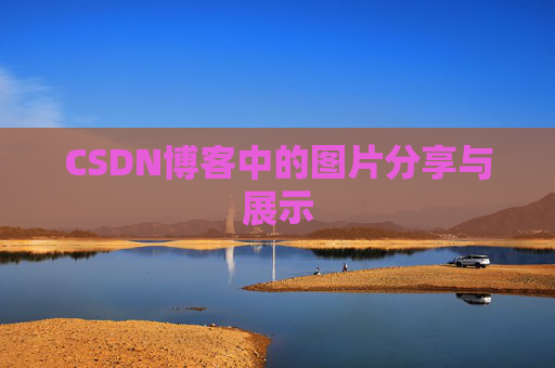 CSDN博客中的图片分享与展示